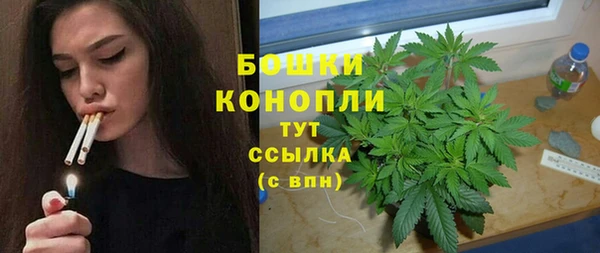 спиды Вяземский