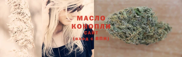спиды Вяземский