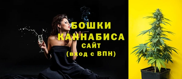 спиды Вяземский
