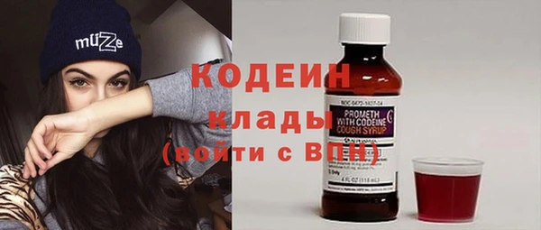спиды Вяземский