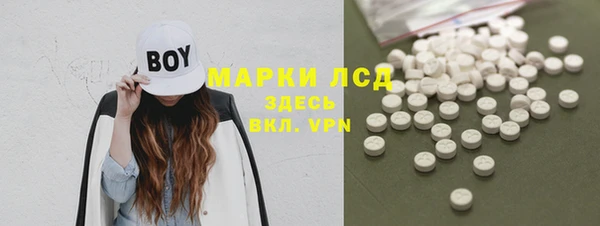 спиды Вяземский