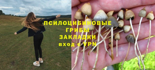 кокс Усинск