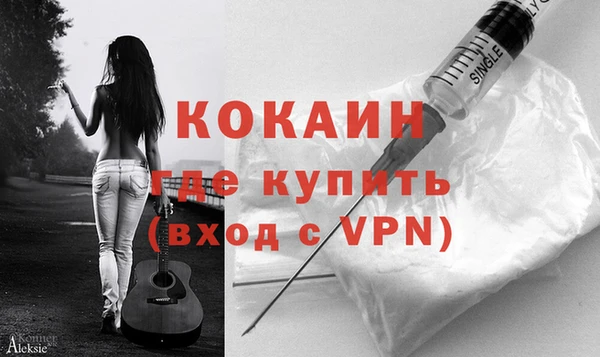 спиды Вяземский