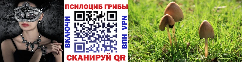 Галлюциногенные грибы ЛСД  Купить закладки  Старица 